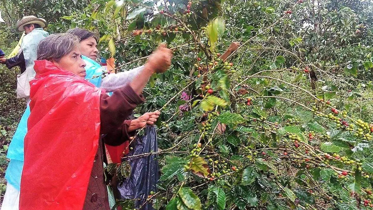 FALTA DE INTERÉS EN EL CAMPO